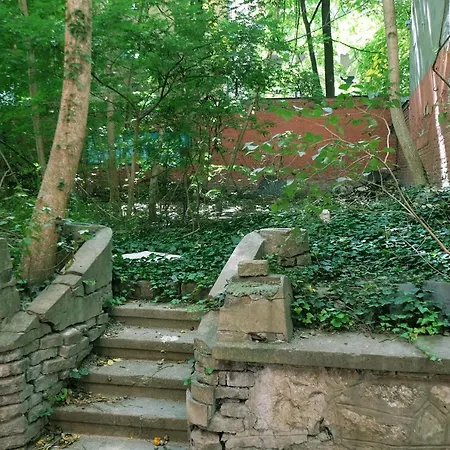 Paradise Forest Apartment